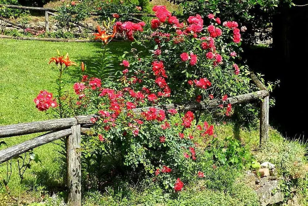 B&B Il Casale Delle Pianacce Castiglione di Garfagnana 0*,